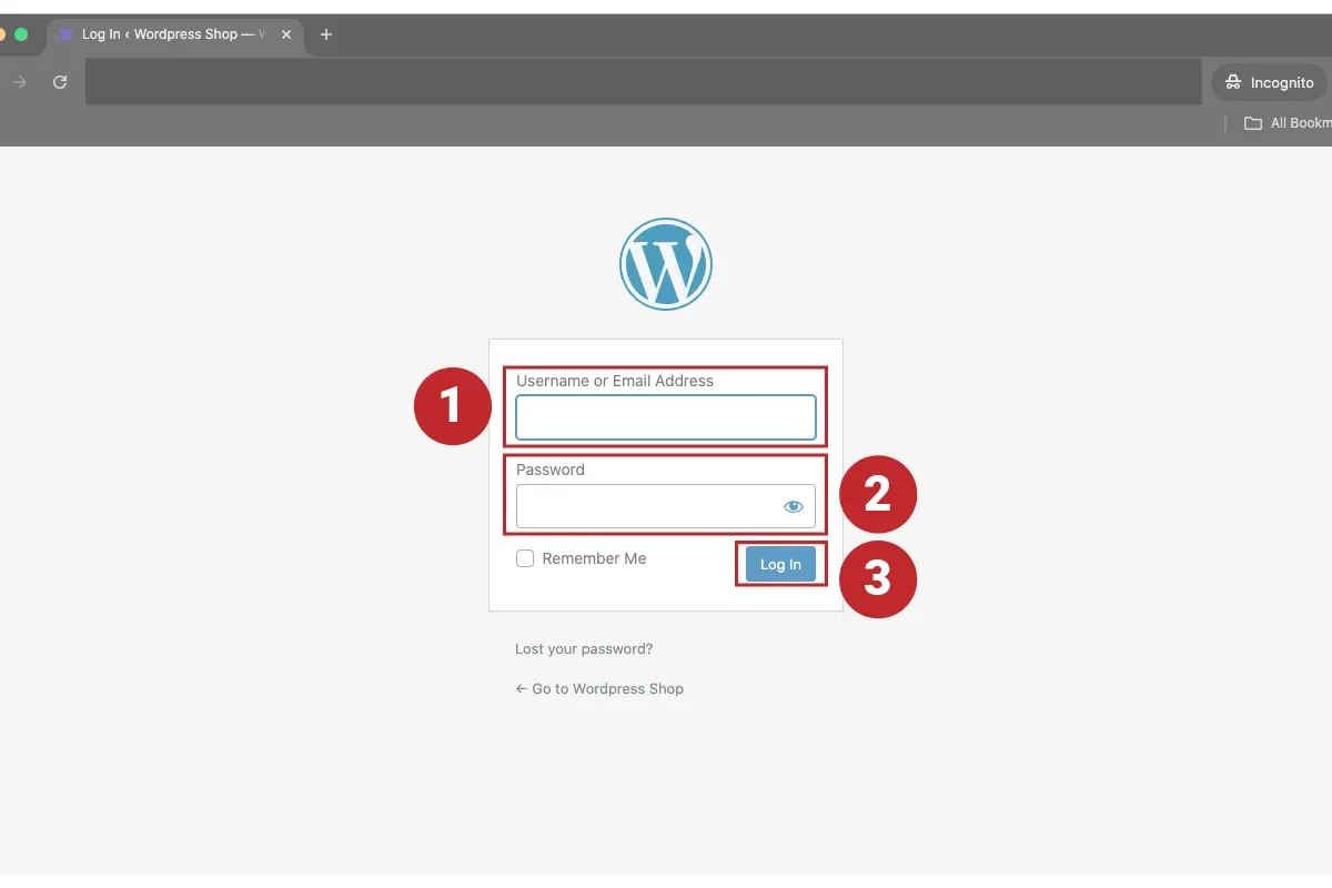 Login WordPress
